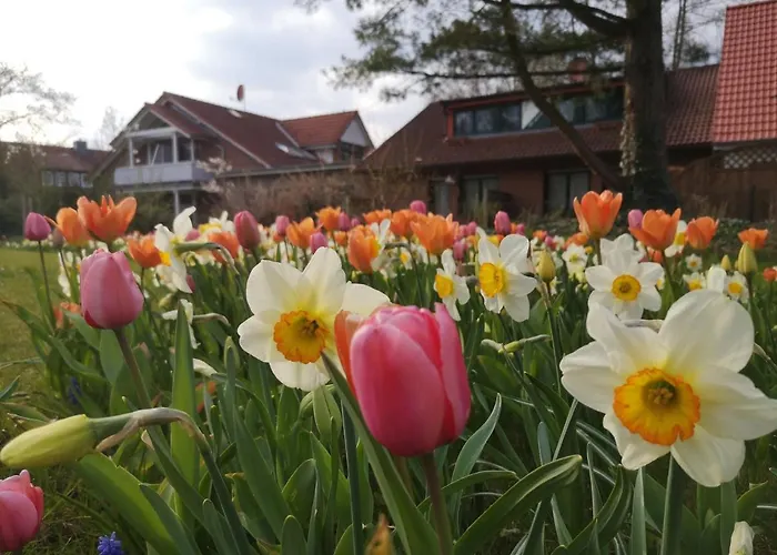 Greune Eck Hotell Soltau